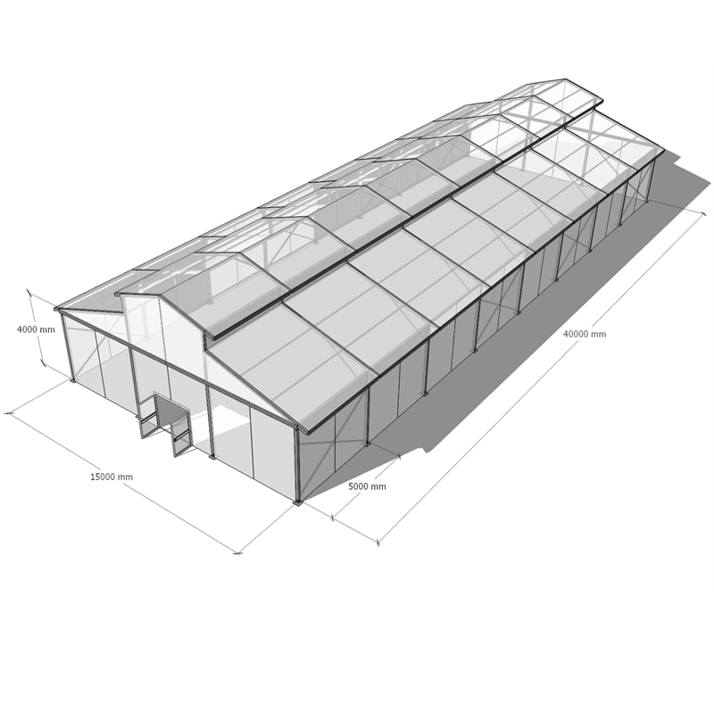 Malaking Clear Frame Wed Tent Canopy Venue Structure Marquee Party Glass Wall Atrium Event Wedding Commercial Tents para sa mga Event