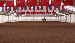  Malaking Sukat Top Quality Out Door Swimming Tent Tennis Tent Basket Ball Tent Padel Tent Football Tent para sa kompetisyon